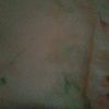 tomlee916